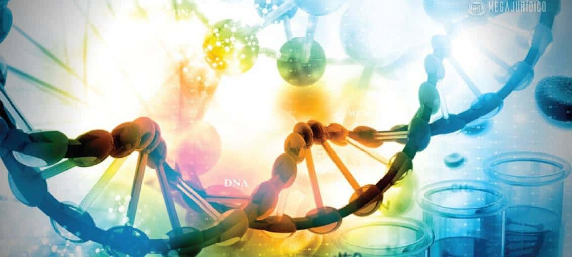 A Bioetica Tem Como Objetivo Facilitar O Enfrentamento